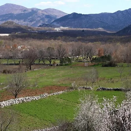 Villa Ctse204/1 - House With Shared Swimming Pool Zezevica